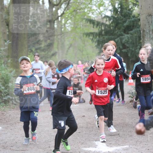 13.04.2025 - Hammer Lauf Jannik Wohlers http://msf.ph/oto/7626323 13.04.2025 08:21:58 Laufen 408, 70, 15, 15, 1525, 1856, 1754 meine-sportfotos.de