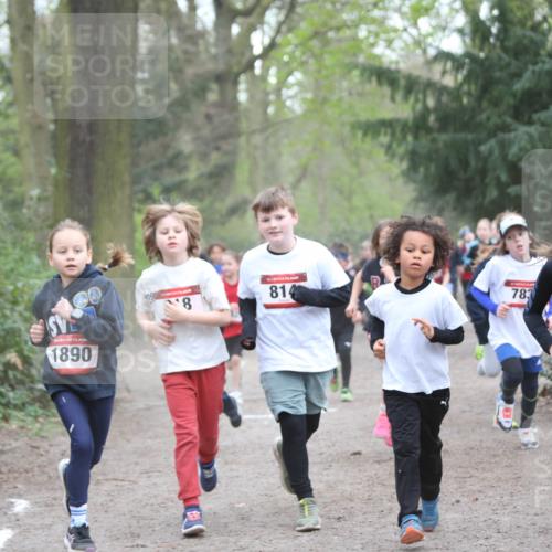 13.04.2025 - Hammer Lauf Jannik Wohlers http://msf.ph/oto/7626343 13.04.2025 08:21:53 Laufen 1890, 8, 814, 783, 15, 1851 meine-sportfotos.de