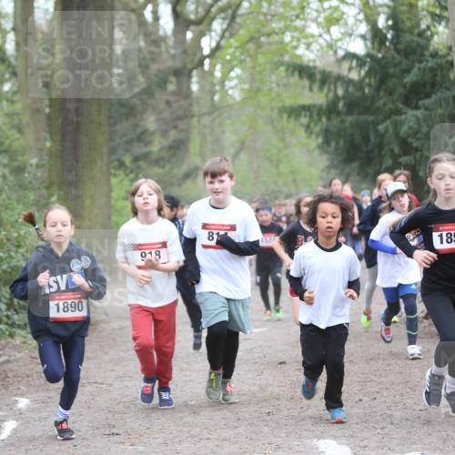 13.04.2025 - Hammer Lauf Jannik Wohlers http://msf.ph/oto/7626344 13.04.2025 08:21:53 Laufen 1890, 918, 81, 15, 185, 86 meine-sportfotos.de