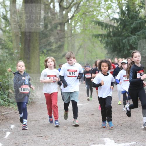 13.04.2025 - Hammer Lauf Jannik Wohlers http://msf.ph/oto/7626345 13.04.2025 08:21:53 Laufen 1890, 814, 1524, 1851, 869 meine-sportfotos.de