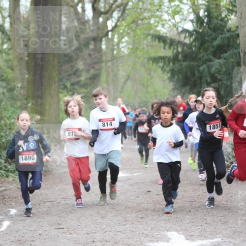 13.04.2025 - Hammer Lauf Jannik Wohlers http://msf.ph/oto/7626346 13.04.2025 08:21:53 Laufen 814, 91, 1851, 1890, 869 meine-sportfotos.de