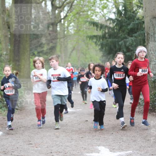 13.04.2025 - Hammer Lauf Jannik Wohlers http://msf.ph/oto/7626347 13.04.2025 08:21:53 Laufen 91, 81, 1851, 1524, 1890, 869, 1519 meine-sportfotos.de