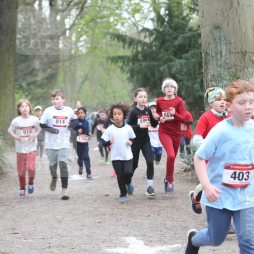 13.04.2025 - Hammer Lauf Jannik Wohlers http://msf.ph/oto/7626349 13.04.2025 08:21:52 Laufen 1890, 918, 814, 1754, 185, 869, 10, 403 meine-sportfotos.de
