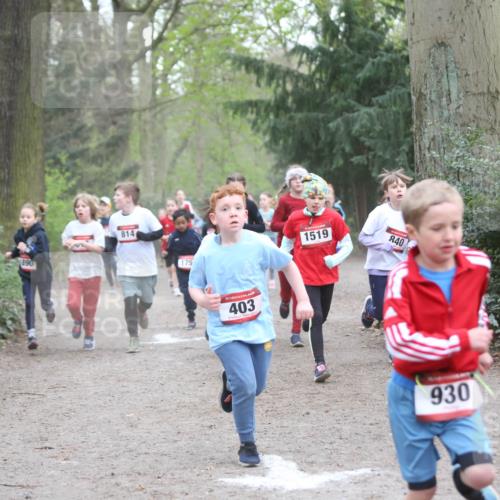 13.04.2025 - Hammer Lauf Jannik Wohlers http://msf.ph/oto/7626353 13.04.2025 08:21:51 Laufen 890, 814, 175, 15, 403, 1519, 840, 930 meine-sportfotos.de