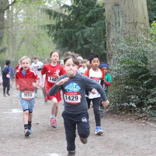 13.04.2025 - Hammer Lauf Jannik Wohlers http://msf.ph/oto/7626362 13.04.2025 08:21:49 Laufen 128, 930, 1407, 1429, 1 meine-sportfotos.de