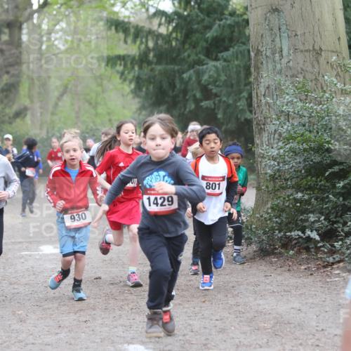 13.04.2025 - Hammer Lauf Jannik Wohlers http://msf.ph/oto/7626363 13.04.2025 08:21:49 Laufen 15, 1128, 930, 15, 1429, 801, 162 meine-sportfotos.de