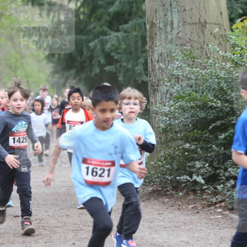 13.04.2025 - Hammer Lauf Jannik Wohlers http://msf.ph/oto/7626367 13.04.2025 08:21:48 Laufen 15, 1429, 8, 148, 1621 meine-sportfotos.de