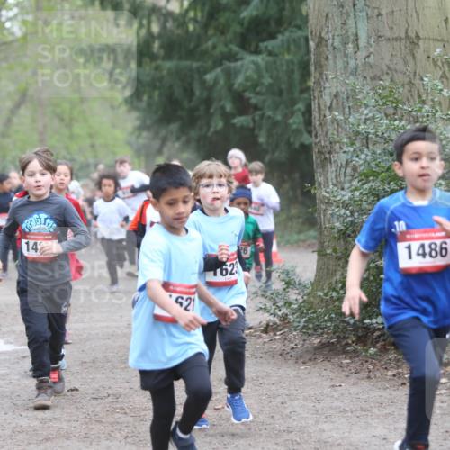 13.04.2025 - Hammer Lauf Jannik Wohlers http://msf.ph/oto/7626369 13.04.2025 08:21:48 Laufen 1128, 14, 21, 1623, 1486, 148 meine-sportfotos.de