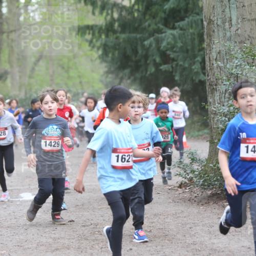 13.04.2025 - Hammer Lauf Jannik Wohlers http://msf.ph/oto/7626370 13.04.2025 08:21:48 Laufen 403, 1128, 15, 1429, 2, 126, 1, 1621, 440, 10, 15, 1486, 148 meine-sportfotos.de