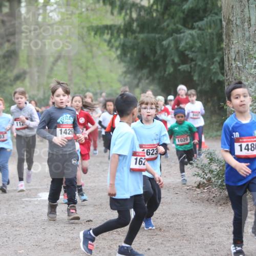 13.04.2025 - Hammer Lauf Jannik Wohlers http://msf.ph/oto/7626371 13.04.2025 08:21:48 Laufen 403, 112, 15, 1429, 840, 15, 162, 623, 1026, 10, 15, 1486, 484 meine-sportfotos.de