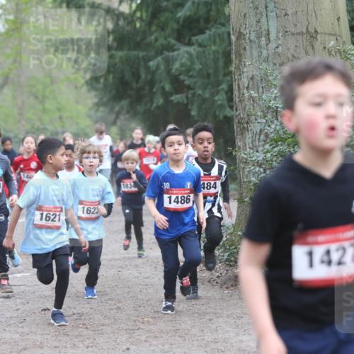 13.04.2025 - Hammer Lauf Jannik Wohlers http://msf.ph/oto/7626373 13.04.2025 08:21:47 Laufen 403, 1429, 14, 15, 1621, 1623, 1834, 15, 1486, 484, 1427 meine-sportfotos.de