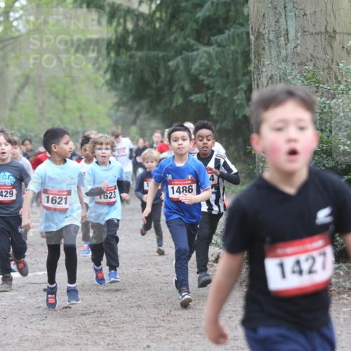 13.04.2025 - Hammer Lauf Jannik Wohlers http://msf.ph/oto/7626374 13.04.2025 08:21:47 Laufen 1429, 15, 1621, 623, 1486, 1427 meine-sportfotos.de
