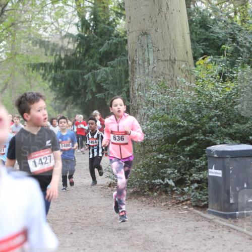 13.04.2025 - Hammer Lauf Jannik Wohlers http://msf.ph/oto/7626377 13.04.2025 08:21:46 Laufen 21, 1486, 1427, 1484, 636 meine-sportfotos.de
