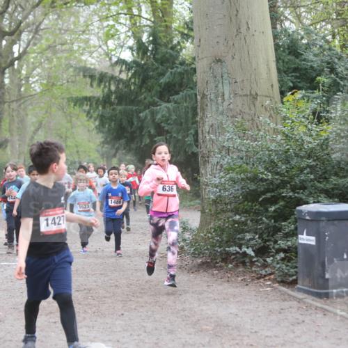 13.04.2025 - Hammer Lauf Jannik Wohlers http://msf.ph/oto/7626379 13.04.2025 08:21:46 Laufen 130, 38, 142, 1427, 1623, 10, 1486, 636 meine-sportfotos.de
