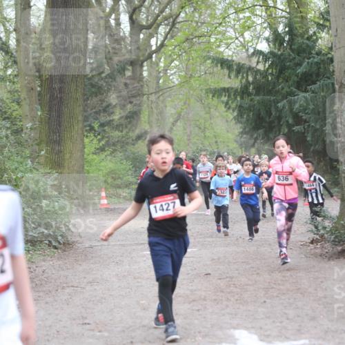 13.04.2025 - Hammer Lauf Jannik Wohlers http://msf.ph/oto/7626380 13.04.2025 08:21:45 Laufen 1882, 1427, 1128, 523, 636, 1484, 1486 meine-sportfotos.de