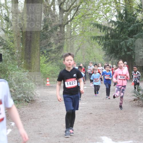 13.04.2025 - Hammer Lauf Jannik Wohlers http://msf.ph/oto/7626381 13.04.2025 08:21:45 Laufen 1882, 1427, 1126, 1484, 1496, 636, 1623 meine-sportfotos.de