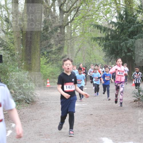 13.04.2025 - Hammer Lauf Jannik Wohlers http://msf.ph/oto/7626382 13.04.2025 08:21:45 Laufen 1882, 1427, 1486, 1625, 1621, 636, 1484, 37 meine-sportfotos.de