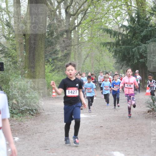 13.04.2025 - Hammer Lauf Jannik Wohlers http://msf.ph/oto/7626383 13.04.2025 08:21:45 Laufen 1882, 636, 1623, 1486, 1621, 1427, 373 meine-sportfotos.de