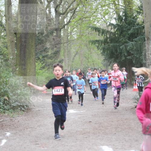13.04.2025 - Hammer Lauf Jannik Wohlers http://msf.ph/oto/7626384 13.04.2025 08:21:45 Laufen 1882, 1120, 636, 1484, 1486, 1623, 1621, 1427, 373 meine-sportfotos.de