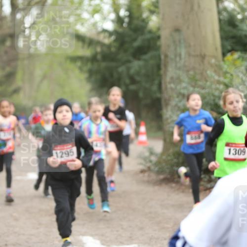 13.04.2025 - Hammer Lauf Jannik Wohlers http://msf.ph/oto/7626395 13.04.2025 08:21:42 Laufen 15, 1065, 888, 1295, 1309 meine-sportfotos.de