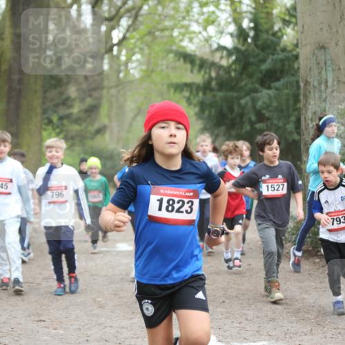 13.04.2025 - Hammer Lauf Jannik Wohlers http://msf.ph/oto/7626412 13.04.2025 08:21:37 Laufen 845, 796, 1065, 15, 1823, 1527, 793 meine-sportfotos.de