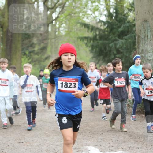 13.04.2025 - Hammer Lauf Jannik Wohlers http://msf.ph/oto/7626413 13.04.2025 08:21:37 Laufen 845, 796, 067, 15, 1823, 890, 425, 1527, 793 meine-sportfotos.de