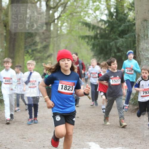 13.04.2025 - Hammer Lauf Jannik Wohlers http://msf.ph/oto/7626414 13.04.2025 08:21:37 Laufen 845, 796, 15, 1823, 125, 1527, 890, 793, 15, 87 meine-sportfotos.de