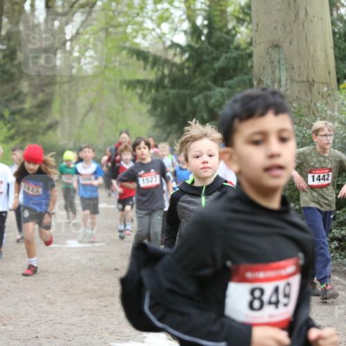13.04.2025 - Hammer Lauf Jannik Wohlers http://msf.ph/oto/7626423 13.04.2025 08:21:35 Laufen 845, 796, 1886, 1527, 849, 1442 meine-sportfotos.de