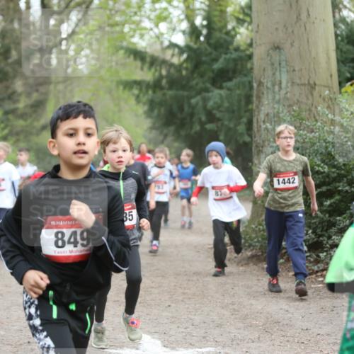 13.04.2025 - Hammer Lauf Jannik Wohlers http://msf.ph/oto/7626426 13.04.2025 08:21:35 Laufen 845, 15, 849, 85, 1442, 172 meine-sportfotos.de