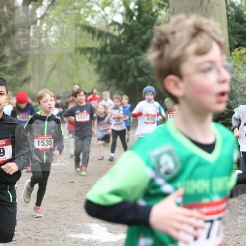 13.04.2025 - Hammer Lauf Jannik Wohlers http://msf.ph/oto/7626428 13.04.2025 08:21:35 Laufen 145, 1823, 15, 849, 1535, 1527, 1037, 870, 14, 77, 847 meine-sportfotos.de