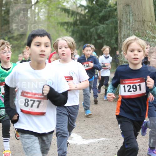 13.04.2025 - Hammer Lauf Jannik Wohlers http://msf.ph/oto/7626436 13.04.2025 08:21:33 Laufen 15, 877, 185, 1291 meine-sportfotos.de