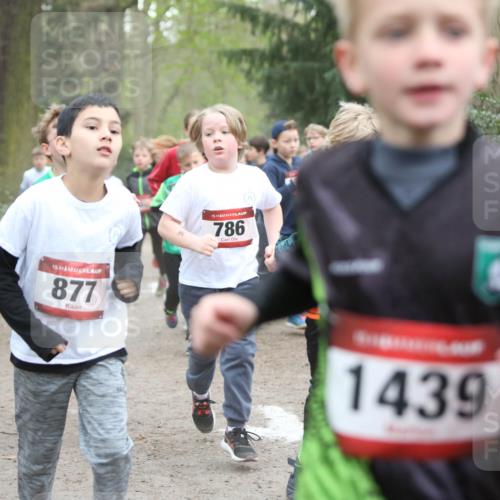 13.04.2025 - Hammer Lauf Jannik Wohlers http://msf.ph/oto/7626438 13.04.2025 08:21:33 Laufen 15, 877, 15, 786, 1439 meine-sportfotos.de
