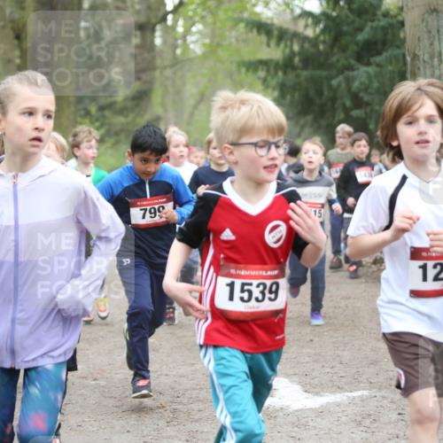 13.04.2025 - Hammer Lauf Jannik Wohlers http://msf.ph/oto/7626444 13.04.2025 08:21:31 Laufen 15, 799, 35, 15, 1539, 15, 1434, 820, 1209 meine-sportfotos.de