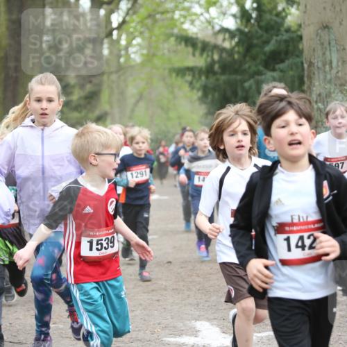 13.04.2025 - Hammer Lauf Jannik Wohlers http://msf.ph/oto/7626447 13.04.2025 08:21:31 Laufen 1, 15, 1539, 1291, 14, 15, 142, 597, 15, 787 meine-sportfotos.de