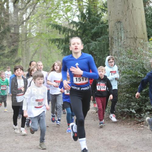 13.04.2025 - Hammer Lauf Jannik Wohlers http://msf.ph/oto/7626456 13.04.2025 08:21:29 Laufen 14, 1539, 1779, 90, 95, 1517, 1356, 1, 25, 1488 meine-sportfotos.de