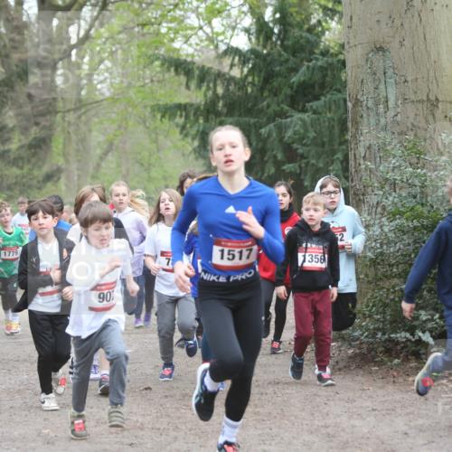 13.04.2025 - Hammer Lauf Jannik Wohlers http://msf.ph/oto/7626457 13.04.2025 08:21:28 Laufen 1439, 1539, 1779, 90, 7, 1517, 356, 52, 1488 meine-sportfotos.de