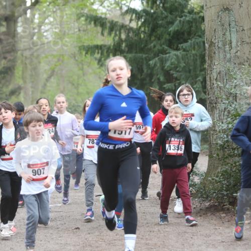 13.04.2025 - Hammer Lauf Jannik Wohlers http://msf.ph/oto/7626458 13.04.2025 08:21:28 Laufen 1539, 907, 24, 14, 787, 1517, 597, 1356, 352, 1488 meine-sportfotos.de
