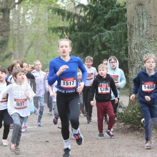 13.04.2025 - Hammer Lauf Jannik Wohlers http://msf.ph/oto/7626459 13.04.2025 08:21:28 Laufen 14, 1539, 15, 907, 1517, 597, 1356, 52, 1488 meine-sportfotos.de