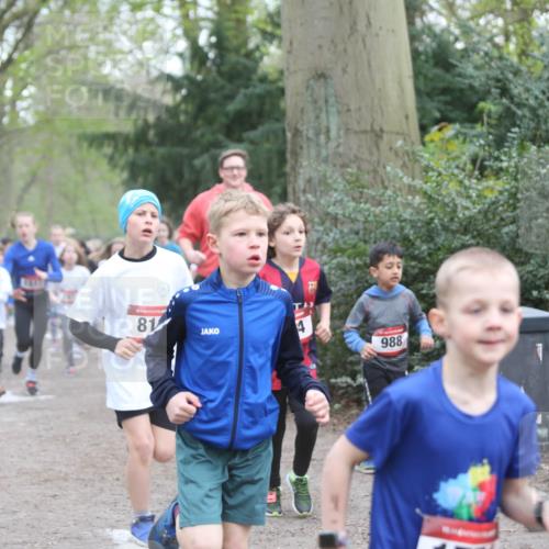 13.04.2025 - Hammer Lauf Jannik Wohlers http://msf.ph/oto/7626465 13.04.2025 08:21:26 Laufen 1517, 15, 81, 988, 859 meine-sportfotos.de