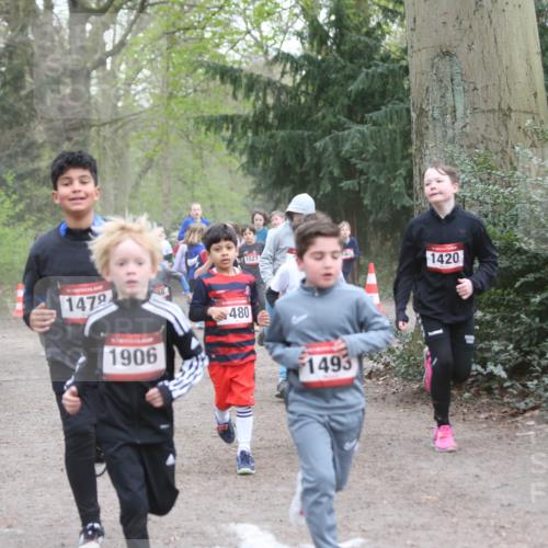 13.04.2025 - Hammer Lauf Jannik Wohlers http://msf.ph/oto/7626477 13.04.2025 08:21:23 Laufen 1479, 1906, 480, 1527, 1420, 1493 meine-sportfotos.de