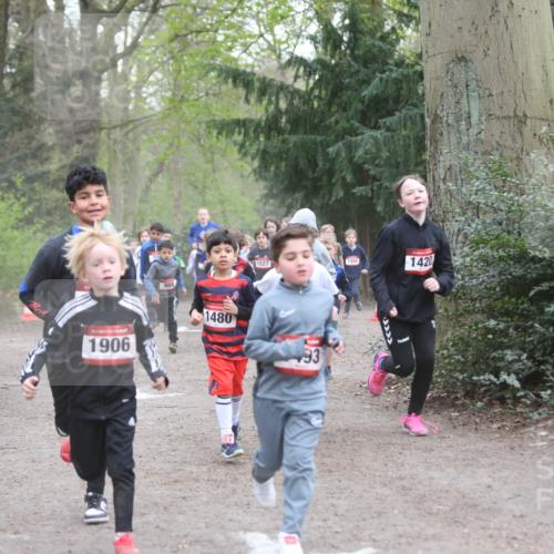 13.04.2025 - Hammer Lauf Jannik Wohlers http://msf.ph/oto/7626479 13.04.2025 08:21:23 Laufen 16, 1906, 988, 1527, 1488, 1420, 1480, 93 meine-sportfotos.de