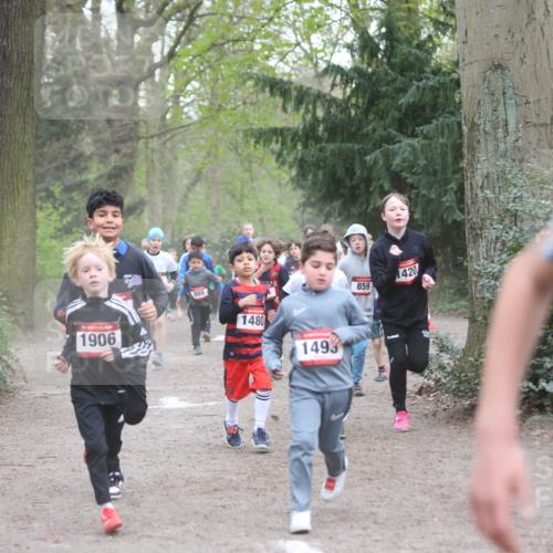 13.04.2025 - Hammer Lauf Jannik Wohlers http://msf.ph/oto/7626481 13.04.2025 08:21:22 Laufen 1906, 988, 1480, 1493, 420, 859 meine-sportfotos.de