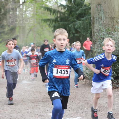13.04.2025 - Hammer Lauf Jannik Wohlers http://msf.ph/oto/7626489 13.04.2025 08:21:21 Laufen 1322, 1480, 15, 1435, 774, 15, 89 meine-sportfotos.de