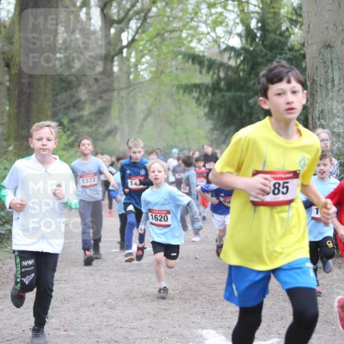 13.04.2025 - Hammer Lauf Jannik Wohlers http://msf.ph/oto/7626494 13.04.2025 08:21:19 Laufen 1322, 14, 480, 1620, 89, 85, 15, 1242 meine-sportfotos.de
