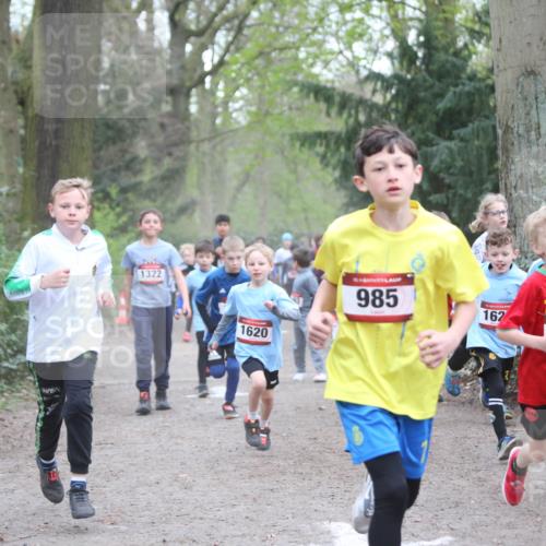 13.04.2025 - Hammer Lauf Jannik Wohlers http://msf.ph/oto/7626495 13.04.2025 08:21:18 Laufen 1322, 1620, 15, 985, 162, 15, 12, 170 meine-sportfotos.de