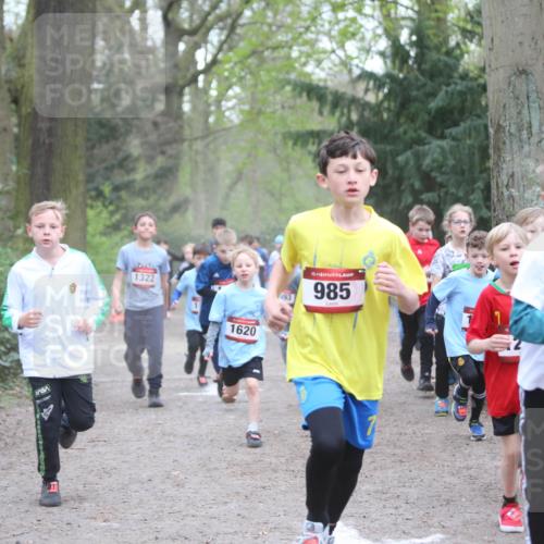 13.04.2025 - Hammer Lauf Jannik Wohlers http://msf.ph/oto/7626496 13.04.2025 08:21:18 Laufen 1322, 1620, 15, 985 meine-sportfotos.de