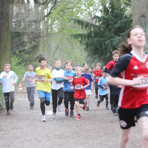 13.04.2025 - Hammer Lauf Jannik Wohlers http://msf.ph/oto/7626504 13.04.2025 08:21:16 Laufen 985, 1322, 31, 1242, 137, 162, 34 meine-sportfotos.de