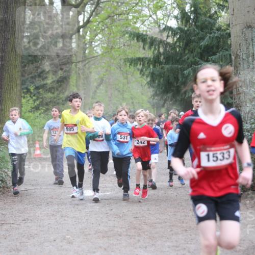 13.04.2025 - Hammer Lauf Jannik Wohlers http://msf.ph/oto/7626505 13.04.2025 08:21:16 Laufen 4, 985, 137, 09, 531, 1242, 1533, 834 meine-sportfotos.de