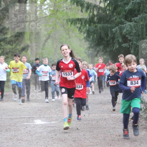 13.04.2025 - Hammer Lauf Jannik Wohlers http://msf.ph/oto/7626514 13.04.2025 08:21:14 Laufen 985, 1709, 14, 15, 1533, 534, 1370, 1756, 15, 834 meine-sportfotos.de
