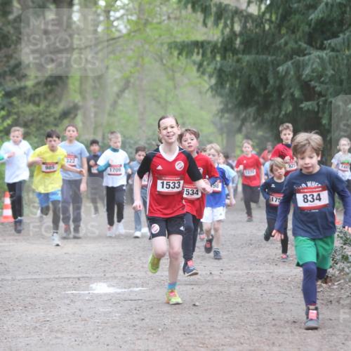 13.04.2025 - Hammer Lauf Jannik Wohlers http://msf.ph/oto/7626515 13.04.2025 08:21:14 Laufen 322, 985, 1709, 15, 1533, 98, 1534, 925, 1370, 1, 175, 834 meine-sportfotos.de